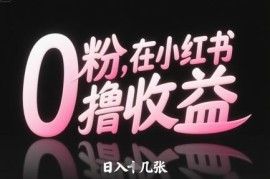 小红书0粉无门槛收益项目玩法 新手易操作快速上手赚收益