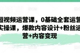 0基础短视频运营实操全套课 爆款打造粉丝运营变现系统教程