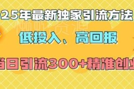 2025年最新全平台引流技巧 低投入当日可获300+精准创业粉