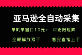 亚马逊全自动采集副业玩法详解 单窗口日入10+可无限矩阵操作