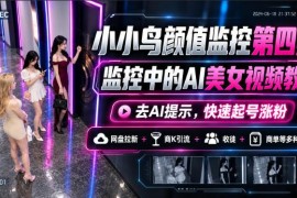 AI颜值监控短视频制作全教程 去AI标识起号涨粉多变现玩法教学