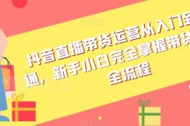 抖音直播带货运营全流程教程 新手小白从入门到精通实操指南