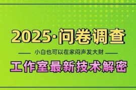 2025最新问卷调查工作室技术解密 单人在家可做小白易上手可矩阵放大