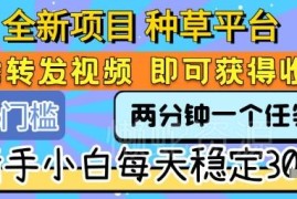种草平台视频代发零门槛项目 新手操作即可获得稳定收益