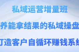 私域运营增量班课程 培养实战操盘手打造客户自循环运营系统