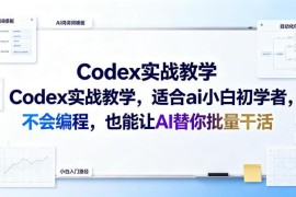 Codex零代码AI实战教学 零基础小白也能掌握AI批量干活技巧