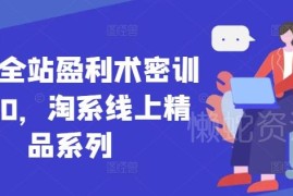 22.0版无界全站盈利术密训 淘系线上运营精品系列课程