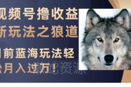 视频号狼道内容蓝海玩法 创作者收益开通及变现方法详解