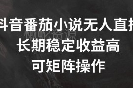 2024抖音番茄小说无人直播实操方法 可矩阵运营长期收益稳定