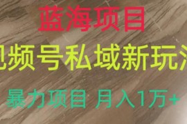 视频号私域蓝海项目新玩法 低门槛高利润月入过万实操指南
