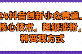2024抖音小众创新赛道上热门技巧 涨粉与多变现方式全解析