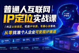 普通人互联网IP定位实战课 纠正认知误区找准个人企业可变现IP赛道