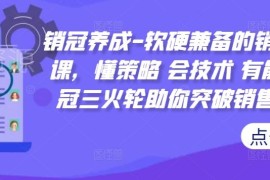 销冠养成软硬兼备销售技能课 懂策略会技术助力突破销售瓶颈