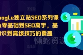 谷歌独立站SEO系列课程 零基础到高手全模块知识点全覆盖