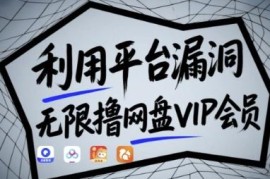 多款主流网盘VIP会员免费获取教程 附漏洞原理及实操演示