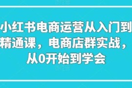 小红书电商运营从入门到精通 店群实战全流程实操教程