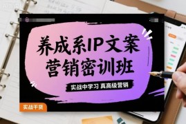 养成系IP文案营销密训班 实战学习私域高级营销技巧