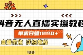 2025抖音无人直播带货实操教程 单机盈利全流程玩法详解