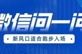 微信问一问新风口变现项目教程 全套实操课程及学习资源分享