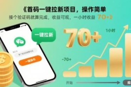 首码一键拉新项目详情介绍 操作简单单小时稳定收益70+