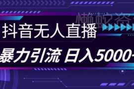 抖音快手视频号通用无人直播 创业粉引流实操完整教程