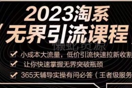 2023淘系无界引流实操课程 小成本低价引流快速拉新破运营瓶颈