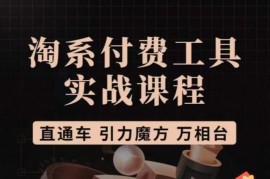 猫老师淘系付费工具实战课 直通车引力魔方万相台实操教学