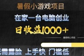 2025暑假低门槛小游戏创业项目 无需露脸在家用电脑即可操作