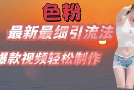 SE粉精准引流方法详解 七天螺旋起号及爆款视频制作教程