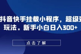0粉抖音快手挂载小程序教程 超级变脸玩法新手变现操作指南