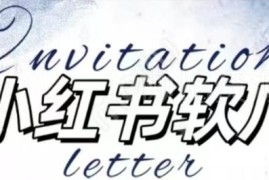 2024全新小红书软广运营项目 不掉蒲公英等级单月保底收益2400