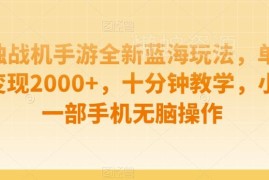 孤独战机手游蓝海玩法教学 新手手机操作单视频变现实操指南