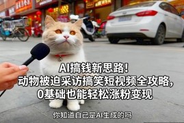 0基础学AI动物采访搞笑短视频 涨粉变现全流程攻略