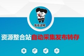 资源整合站自动采集发布转存教程 附网盘拉新实操技巧
