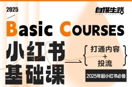 2025小红书运营基础课 打通内容创作与投流全链路实操教程