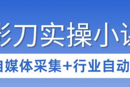 影刀RPA3天入门实操教程 自媒体采集及全行业自动化流程教学