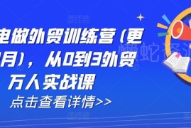 AI闪电做外贸训练营 从0入门全流程外贸实战课更新至24年12月
