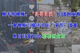 自导自演拍日常短视频引流创业粉 单日可获百名精准创业粉