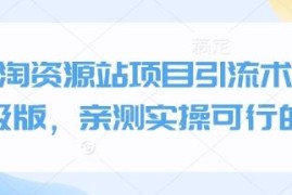 小淘资源站项目引流术终极版 多渠道实操引流方法亲测可行