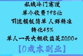 私域冷门高转化引流项目分享 单人单日收益最高可达千元