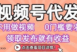 视频号代发副业详解：0基础无需剪辑 小白上手即可获得收益