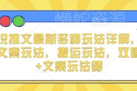 2024小说推文主流玩法详解 含实况文案搬运双图等多种玩法