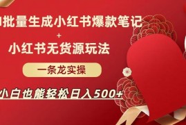 AI批量制作小红书爆款笔记+无货源玩法 小白可落地的副业实操攻略