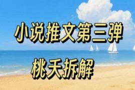 小说推文项目操作全流程第三弹 0粉低门槛新手可轻松入局