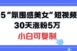 2025不露脸氛围感美女短视频玩法 小白零门槛30天涨粉5W可复制