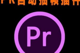 PR短视频抽帧去重插件安装使用教程及配套资源分享