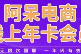 阿呆电商线上年会员课程 淘系运营推广干货持续更新中