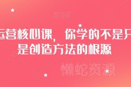 淘系运营核心系统课程 掌握选品起店全链路运营底层逻辑
