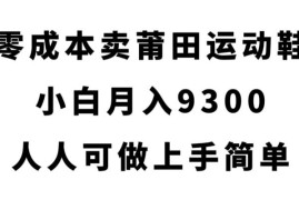 零成本莆田运动鞋售卖项目拆解 小白易上手可实现月入近九千