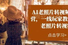 AI老照片转视频实战教程 一线玩家教你操作技巧及变现方法